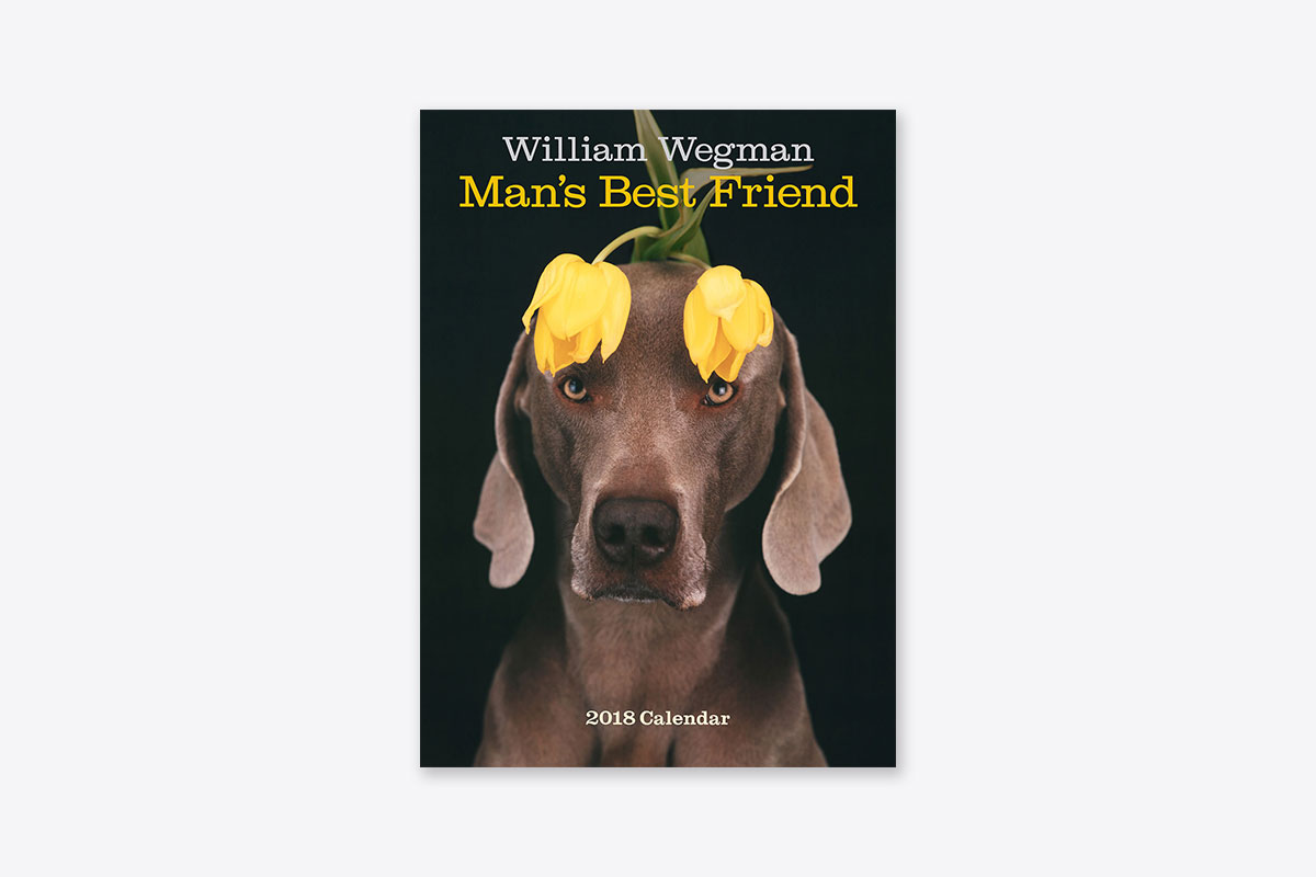 William Wegman 2023 Calendar 2023 Calendar