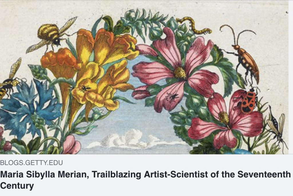 Maria Sibylla Merian, Trailblazing Artist-Scientist of the Seventeenth Century