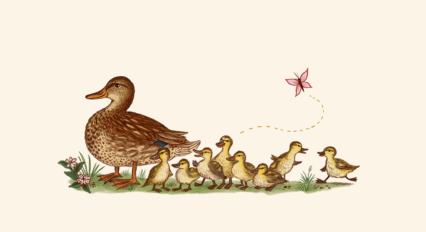 Slow Down In the Park