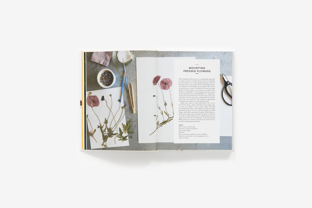 Handmade Flower Press — Modern Pressed Flower